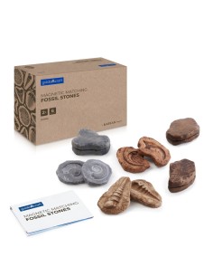 Piedras fósiles magnéticas...