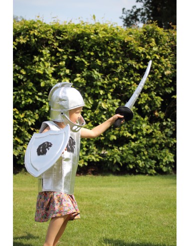 Espasa i escut de cavaller