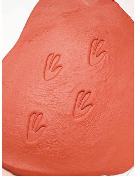 Investiga les petjades - Dinosaures