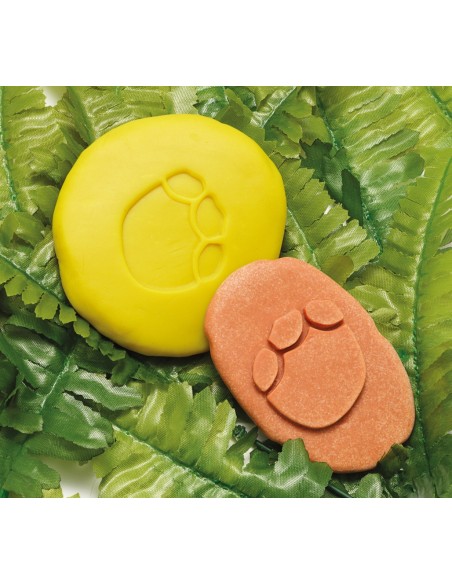 Investiga les petjades - Dinosaures