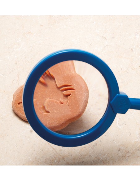 Investiga las huellas - Dinosaurios