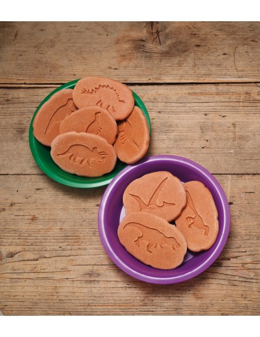 Investiga les petjades - Dinosaures