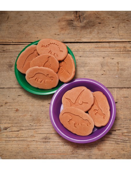 Investiga les petjades - Dinosaures