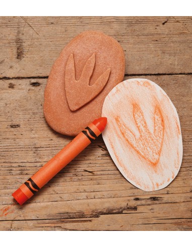 Investiga las huellas - Dinosaurios