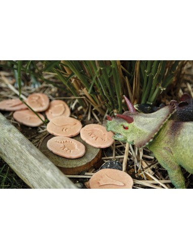 Investiga las huellas - Dinosaurios