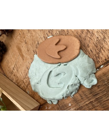 Investiga les petjades - Dinosaures