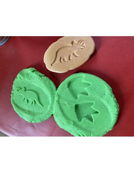 Investiga las huellas - Dinosaurios