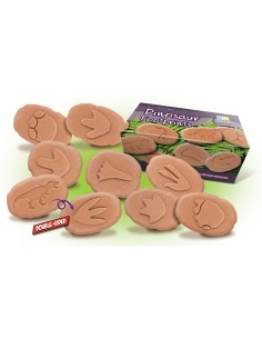 Investiga las huellas -...