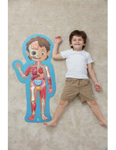 Puzle del Cuerpo Humano 2