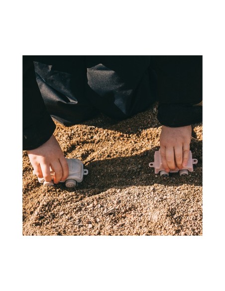 Vehículos de juguete de caña de azúcar