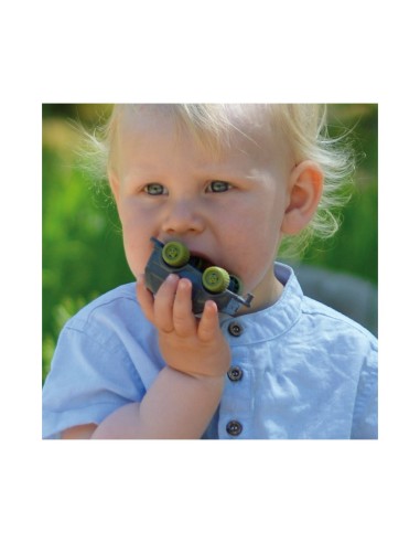 Coches - Caña de azúcar