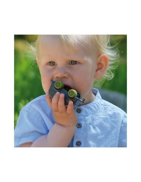 Coches - Caña de azúcar