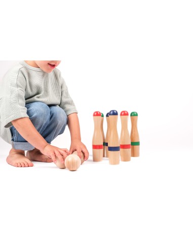 Joc de bitlles amb xarxa