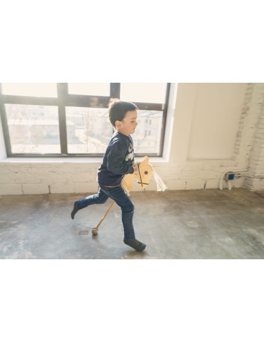 Caballo palo de escoba de madera