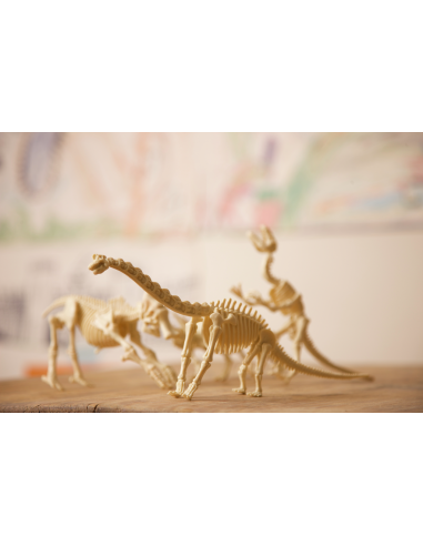 Kit de excavación - Tyranosaurus Rex