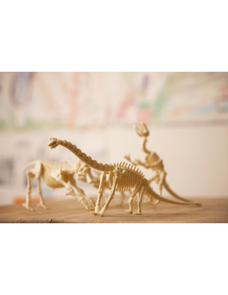 Kit de excavación - Tyranosaurus Rex