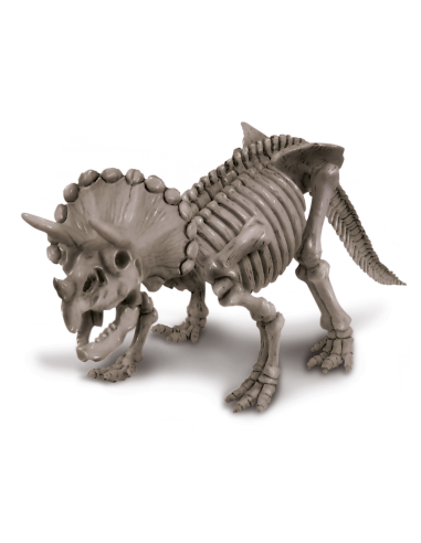 Kit d'excavació - Triceratops
