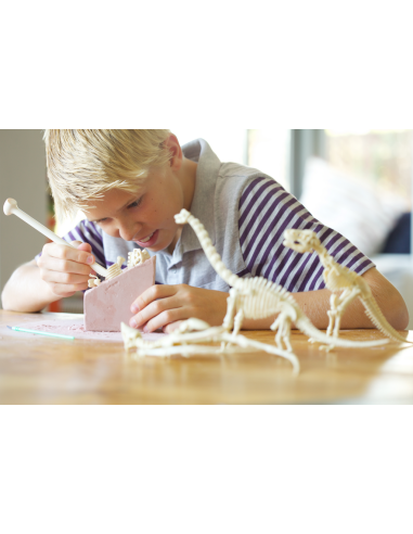 Kit d'excavació - Triceratops