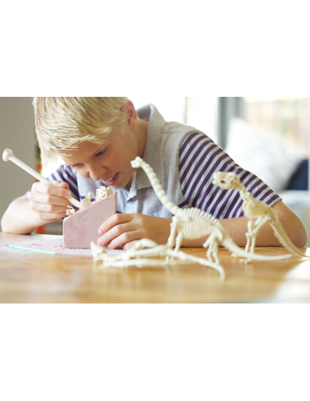 Kit d'excavació - Triceratops