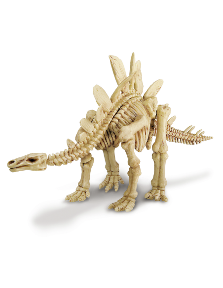 Dinosaure Stegosaurus - Joc d'excavació