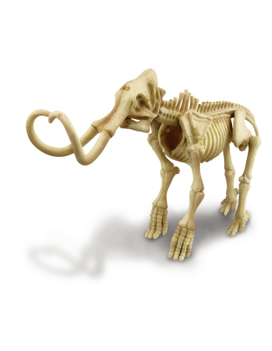 Esquelet de mamut - Joc d'excavació
