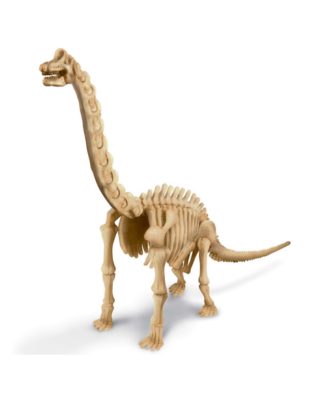 Dinosaure Brachiosaurus - Joc d'excavació