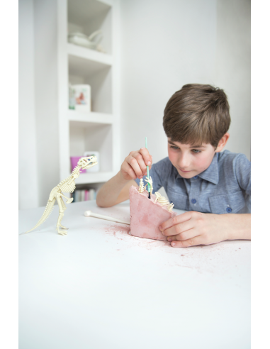 Dinosaure Brachiosaurus - Joc...