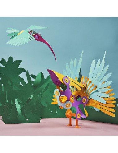 Clixo Tropical Birds Pack - 22 peces