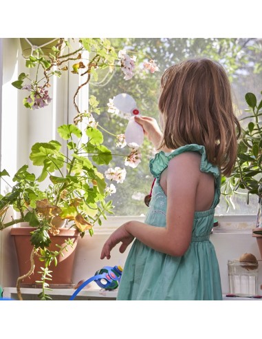 Clixo Window Pack - 24 piezas