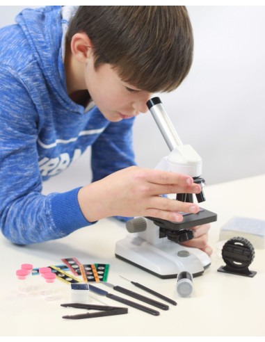 Microscopi 50 experiments