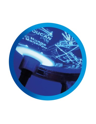 Globus Terraqüi dia i nit