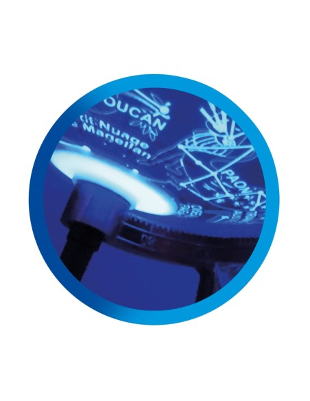 Globus Terraqüi dia i nit