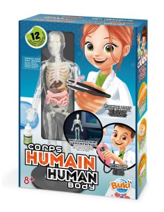 El Cuerpo Humano - Con...