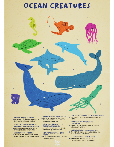 Puzle de Suelo Brillante de Ballena -...