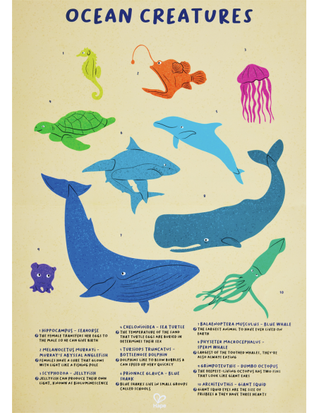 Puzle de Terra Brillant de Balena - 200 pcs