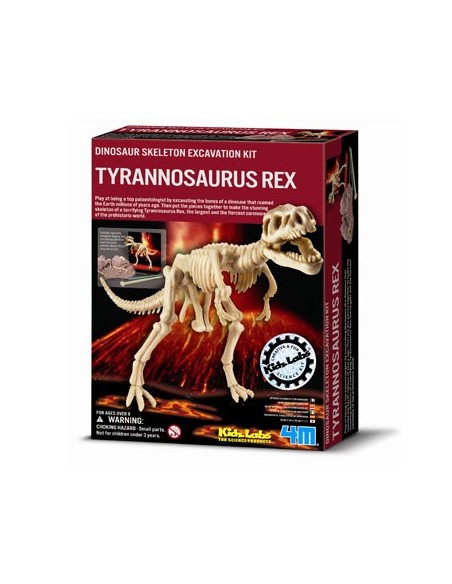 Kit de excavación - Tyranosaurus Rex