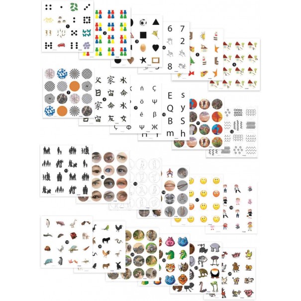 Pair Game + 12 activitats