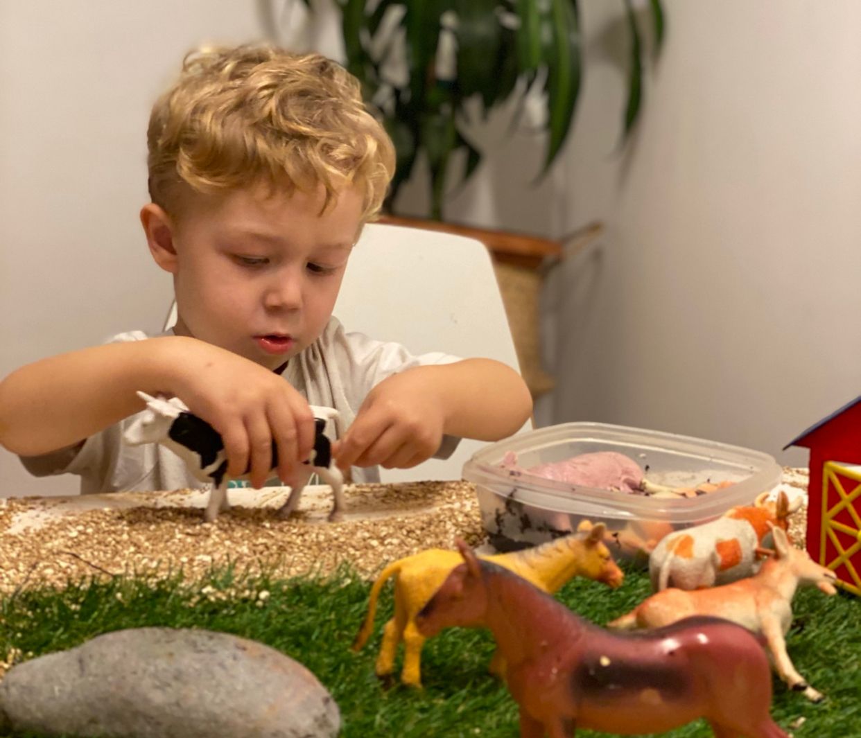 CREAR MINIMONS AMB ANIMALS PER ESTIMULAR LA CREATIVITAT