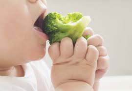 baby-led-weaning-alimentació-per-bebés