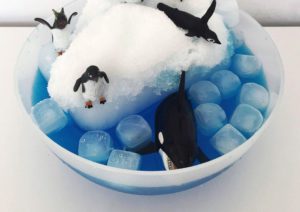 minimundo-polo-norte